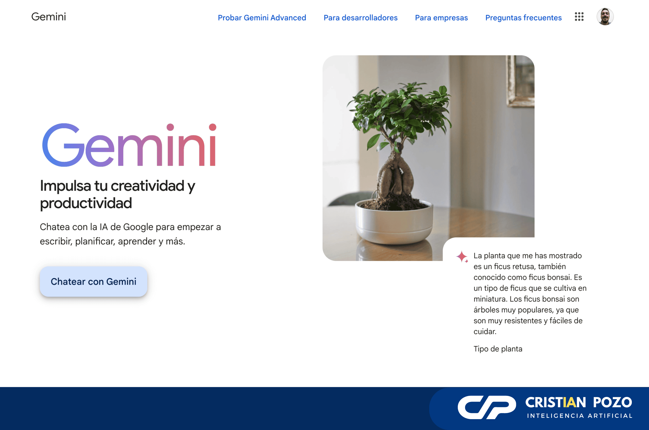plataforma-inteligencia-artificial-08.png